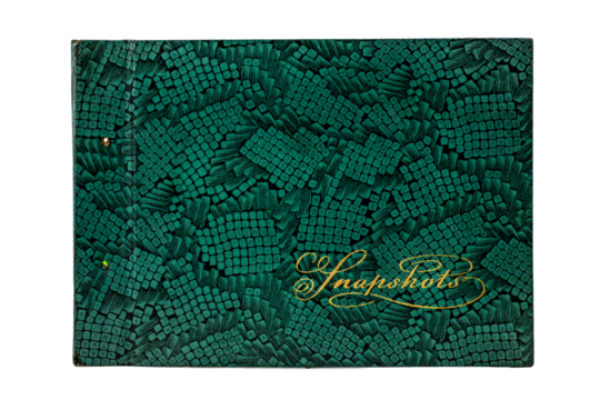An old album cover with a green crocodile texture and the words "Snapshot." On a transparent background.