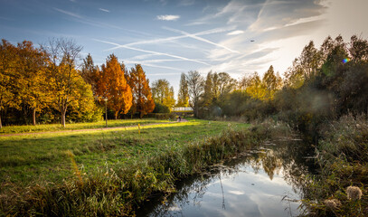 sunset in the forest