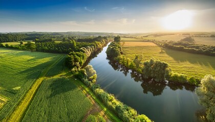 Naklejka premium aerial view of vibrant crops alongside a calm river with rich greenery and trees thriving under the sunlight