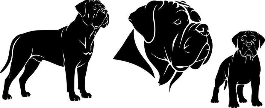 Bullmastiff dog silhouette, Bullmastiff dog, Bull mastiff silhouettes, Dog silhouettes, Bullmastiff clip art