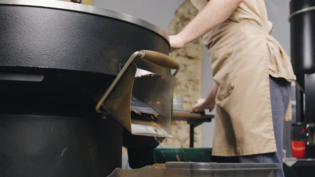 A skilled barista stands at a coffee roaster, observing freshly roasted coffee beans as they pour out, ready for grinding and brewing, in a cozy roastery setting.