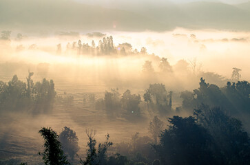 A beautiful winter view of morning light streaming down through the mist, mountains, trees and rice fields in rural Chiang Rai Province, Northern Thailand.