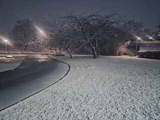 A gentle layer of snow covers the ground beside a paved roadway and dormant trees illuminated by bright urban streetlights during a misty winter night.