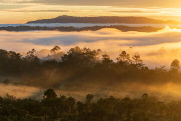 Fototapeta premium Stunning mountain landscape at sunrise with sea of mist and golden sky. Panoramic scenic view of layered mountains, fog and dramatic clouds at dawn.Thung salang luang.Thailand.Sala Dusita.