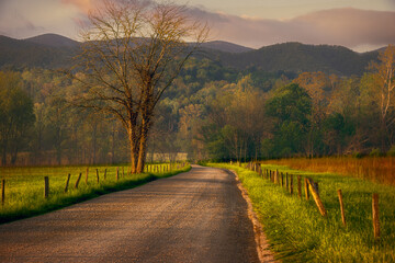 Spring Sunrise, Cades Cove, Great Smoky Mountains National Park 