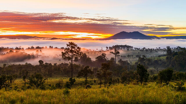Stunning mountain landscape at sunrise with sea of mist and golden sky. Panoramic scenic view of layered mountains, fog and dramatic clouds at dawn.Thung salang luang.Thailand.Sala Dusita.