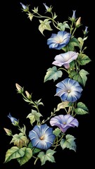 Elegant watercolor blue and purple morning glory vine with green leaves isolated on transparent background