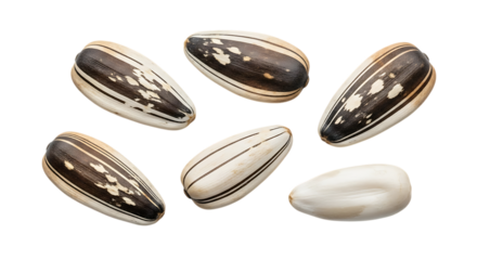 Six striped sunflower seeds, with one plain white seed scattered, isolated on transparent background. PNG