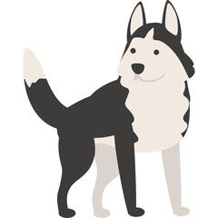 Stylized Husky Dog With Black And White Fur Standing On A Transparent Background A Full Body Side View Portrait Of A Domestic Animal With Alert Ears And A Curled Tail