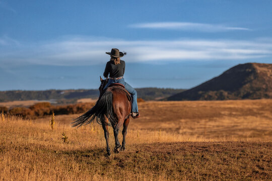 Colorado cowgirl riding bay quarter horse away ranch front range