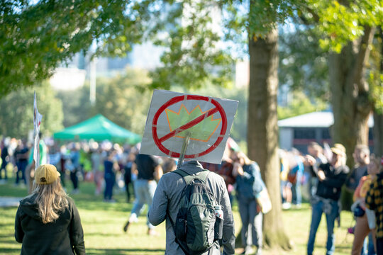 No Kings Protest Sign