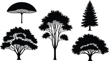 Diverse Collection of Detailed Tree Silhouettes Vector Illustration Set, Featuring Pine, Broadleaf, and Decorative Trees, Ideal for Landscape Design, Nature, and Forest Graphics Isolated on White