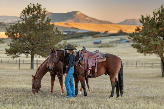 Colorado cowgirl riding bay quarter horse ranch front range