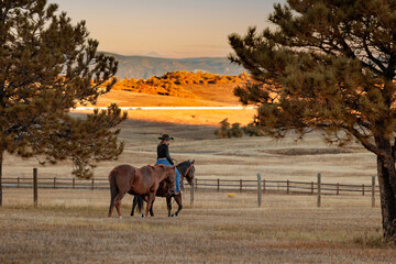Colorado cowgirl riding bay quarter horse ranch front range