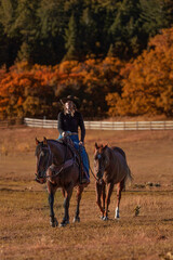 Colorado cowgirl riding bay quarter horse ranch front range leading horse