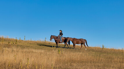 Colorado cowgirl riding bay quarter horse ranch front range ponying leading