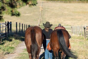 Colorado cowgirl riding bay quarter horse ranch front range leading two horses