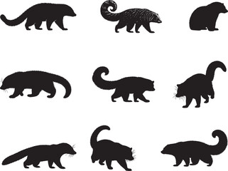 Binturong Silhouette