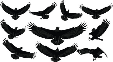 Extensive Set of Black Flying Eagle Silhouettes Vector Illustration, Capturing Majestic Birds in Various Dynamic Attack and Soaring Poses, Symbolizing  