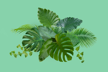 Tropical green leaves on white background