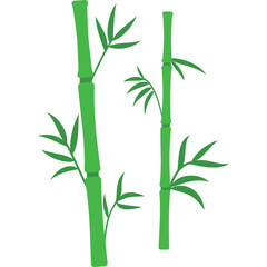 Two Green Bamboo Stalks with Leaves Against a Transparent White Background