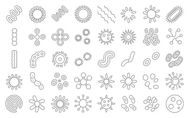Collection of hand drawn microscopic organisms and cells