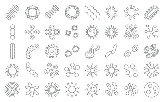 Collection of hand drawn microscopic organisms and cells