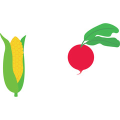 Vector Illustration of Fresh Corn Cob and Bright Red Radish with Green Leaves on Transparent Background