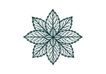 Mint hand drawn simple sketch vector illustration
