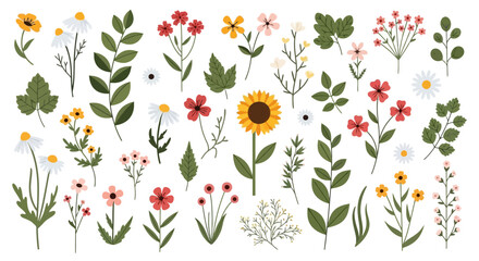 A delightful collection of vibrant wildflowers and delicate green leaves, showcasing nature's artistry in a charming botanical arrangement