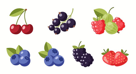 Fresh Berries Illustration Cherries, Currants, Raspberries, Blueberries, Blackberries, Strawberries