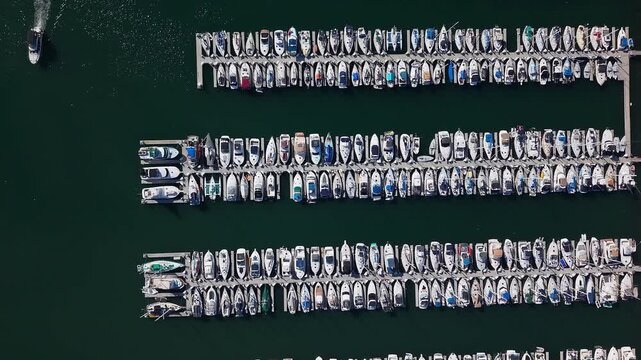 Yachts docked in the harbor