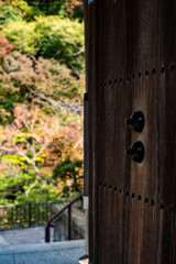 鎌倉251116　成就院7　紅葉