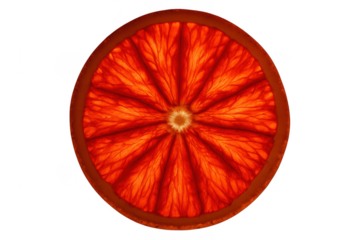 Blood orange slice backlit with transparent background