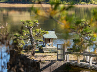 池に祀られた小さな社
