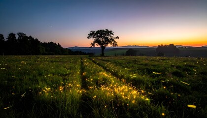 meadow at night with sparse fireflies glowing softly, quiet and elegant mood