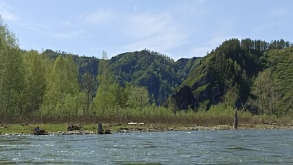 Idyllic River Landscape with Lush Green Forest and Rocky Cliff in Summer Season Day Light © Irinka Dimkovna