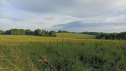 Rolling Green Hills and Meadows with Hay Bales Under a Cloudy Sky, Serene Rural Landscape