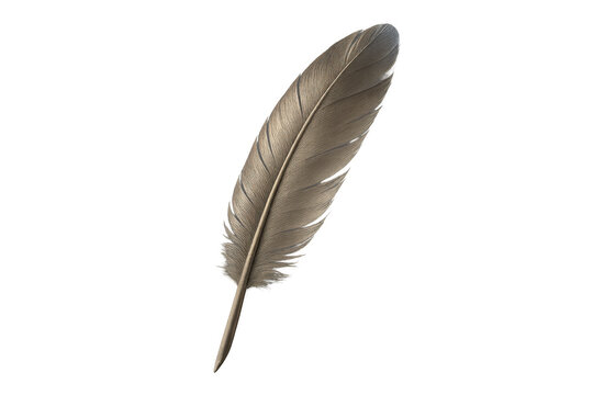 Soft brown bird feather gently floating on transparent background - Powered by Adobe