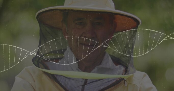 Wearing beekeeping hat with mesh veil senior beekeeper posing at garden, yellow jacket, DNA overlay