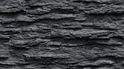 Dark, rough sedimentary rock surface displays deep, layered stratification