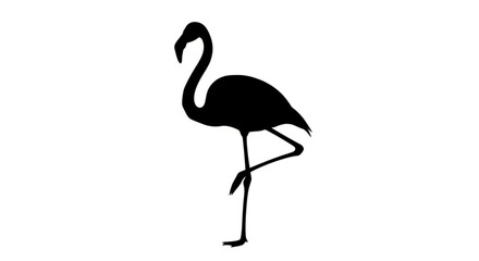 Silhouette of a flamingo standing on one leg with a curved neck against a white background scene view