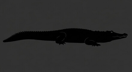 Silhouette of a long crocodile with a textured tail and sharp teeth on a dark background image