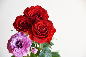 薔薇とラナンキュラス