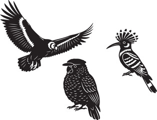 Collection of Diverse Birds Majestic Flying Eagle, Perched Parrot, and Crested Hoopoe in Striking Black and White Graphic Style