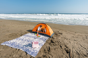 Young couple enjoying relaxing beach camping vacation
