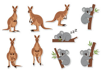 Obraz premium Collection of Cute Australian Animals Kangaroos and Koalas Illustration