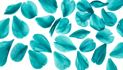 Abstract turquoise flower petals scattered across a white background, creating a delicate and artistic pattern