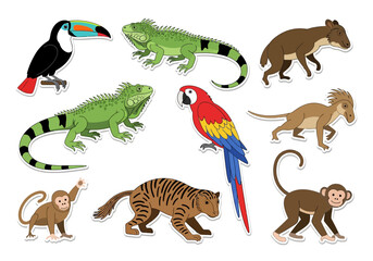 Naklejka premium Exotic Wildlife Illustration Toucan, Iguana, Macaw, Monkey & More Animals