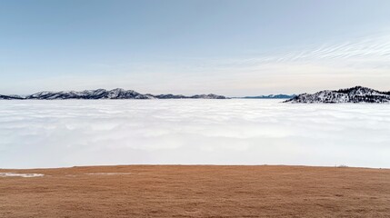 Vast expanse of white clouds below, with snow-capped mountain ranges and evergreen trees visible on the horizon under a clear, pale blue sky. The foreground fea